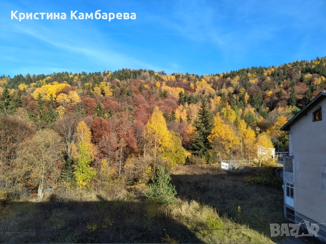 Апартамент в Рила планина, снимка 9 - Апартаменти - 52287396