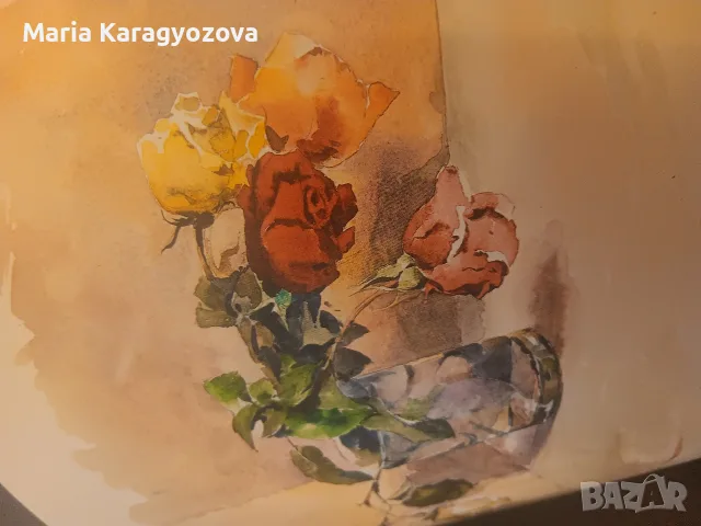 Константин Щъркелов, Самотникът ск, снимка 2 - Специализирана литература - 55980474