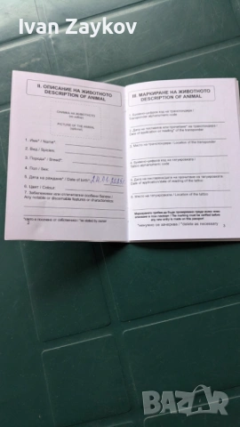 Продавам мини йорки ,черни перли - две момчета., снимка 4 - Йоркширски териер - 53384251