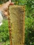 Пчелен мед - 2023 г., снимка 1 - Пчелни продукти - 41482951