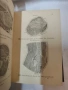 Антикварен медицински атлас по Анатомия (1875 г.) – Dr. Heitzmann, снимка 9