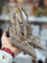 Обувки с ток Guess , снимка 1 - Дамски обувки на ток - 44656179