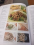 Готварска книга Stir-Fry Cookbook, , снимка 7