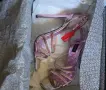 PHILIPP PLEIN дамски сандали, снимка 10