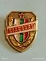 Значка ОТРЯДНИК ДОБРОВОЛЕН ПОМОЩНИК МВР за КОЛЕКЦИЯ 52115, снимка 3