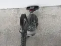 Прахосмукачка - Dyson DC54 / 1300 W, снимка 3