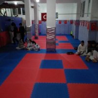 Татами tatami спортна настилка самбо джудо карате бокс мма кунг-фу к-1, снимка 3 - Фитнес уреди - 35954977