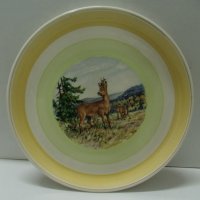 № 6900 стара порцеланова чиния   - диаметър 25,5 см , снимка 4 - Други ценни предмети - 40062011