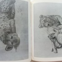 Албум с рисунки " Washington Zoo" - Атанас Тасев - 1976г., снимка 6 - Колекции - 41942182