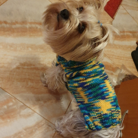Плетени дрешки за кучета М размер, снимка 2 - За кучета - 44590339