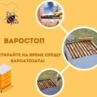 Варостоп и Екостоп, снимка 4 - За пчели - 40955511