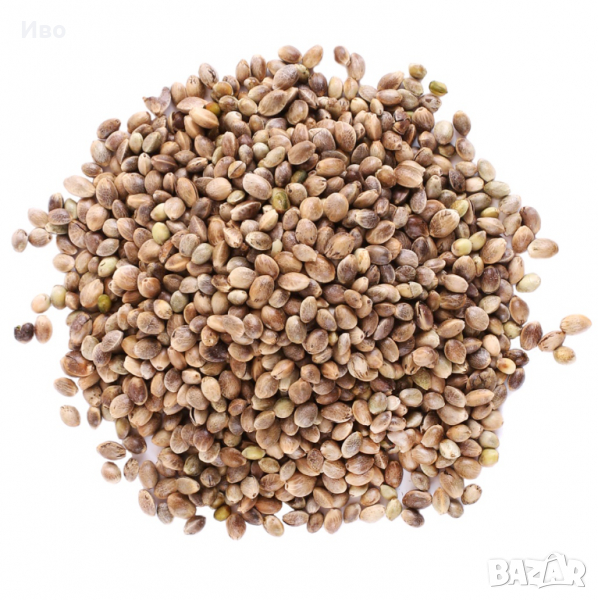 Коноп , снимка 1