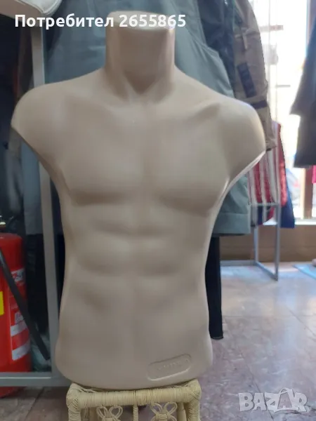 Дамски и мъжки торсове , снимка 1