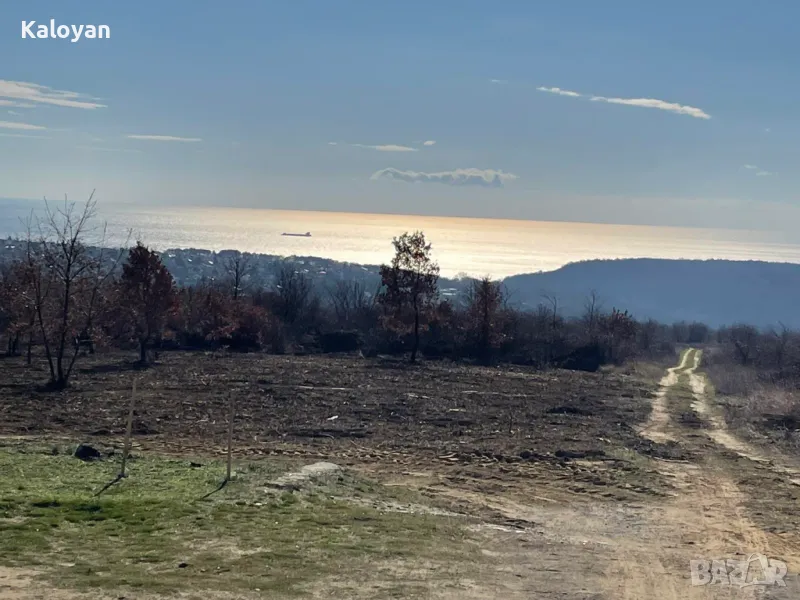 Парцел в м-ст Боровец Юг, снимка 1