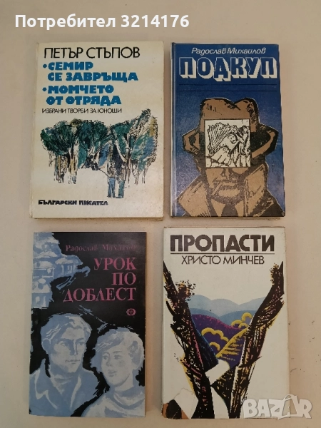 Урок по доблест - Радослав Михайлов, снимка 1