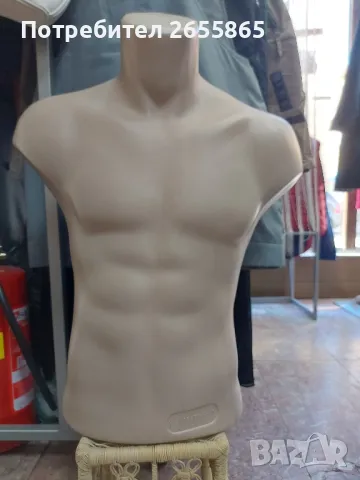 Дамски и мъжки торсове , снимка 1