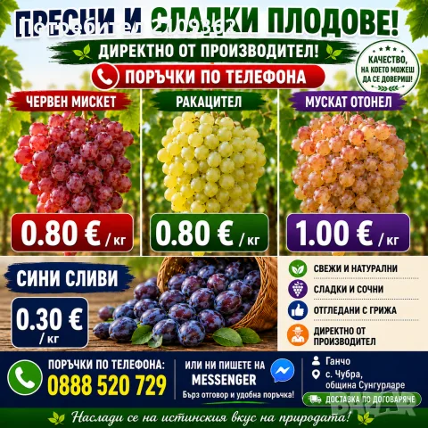 Продавам Ран Болгар, снимка 2 - Други - 55565618