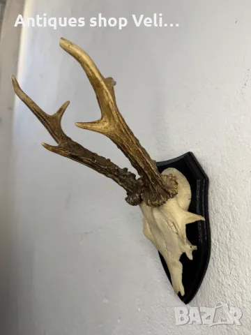 Трофей от сръндак №6925 