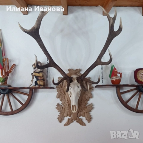 Поставки за ловни трофеи, снимка 9 - Картини - 12206704