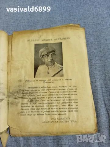 Неделчо Неделчев - Описание на двореца в Балчик , снимка 6 - Други - 55941895