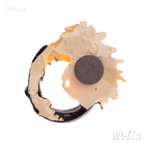 Декоративна магнитна фигурка - Кон, снимка 3 - Арт сувенири - 52813344