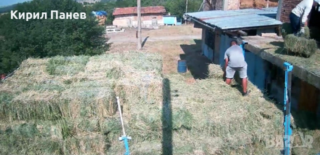 Люцерна 2025, снимка 3 - За селскостопански - 53125911