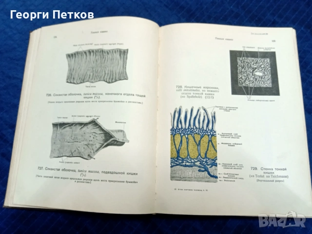 Атлас анатомии человека., снимка 5 - Специализирана литература - 53069358