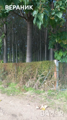 Пауловния трупи, снимка 8 - Строителни материали - 52405145