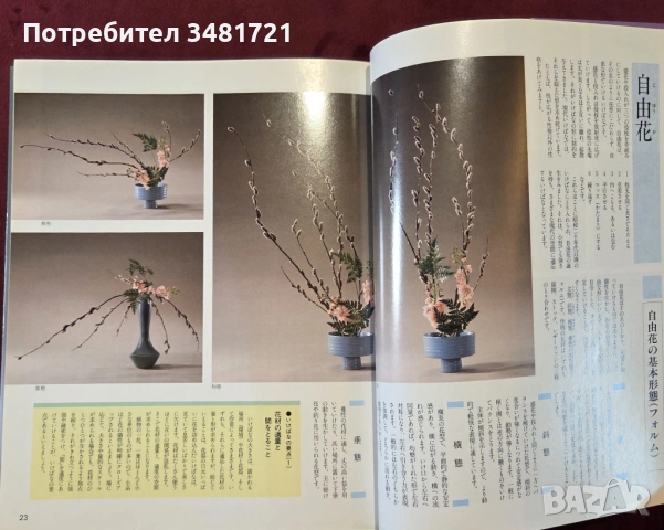 Икебана справочник - история, стилове и традиции / Ikebana, снимка 7 - Енциклопедии, справочници - 53748376