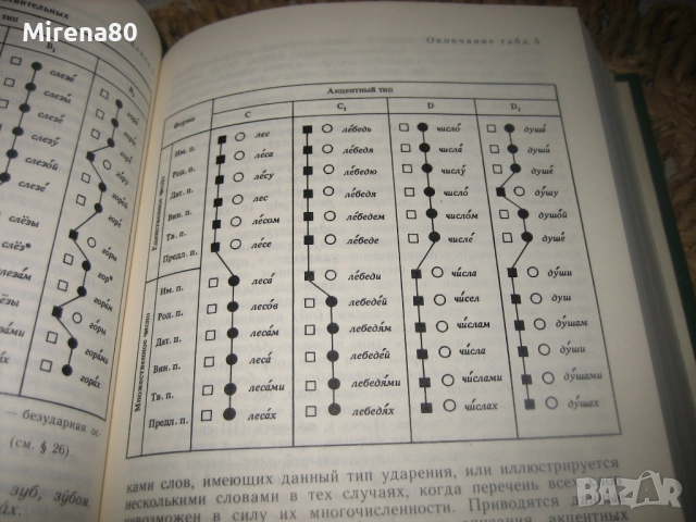 Краткая русская грамматика - нова !, снимка 7 - Чуждоезиково обучение, речници - 52868947