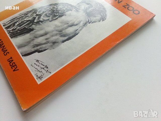 Албум с рисунки " Washington Zoo" - Атанас Тасев - 1976г., снимка 12 - Колекции - 41942182