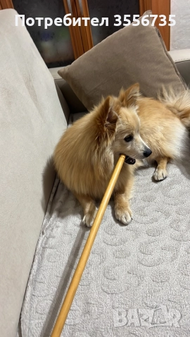 Момче на 7 месеца