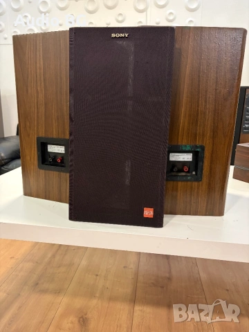Sony AMP-22 ES, снимка 8 - Тонколони - 53731431