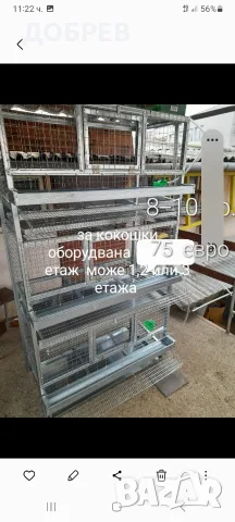 клетки за зайци, гълъби, папагали, пилета, кокошки, пъдпъдъци и др. Гр.Разград 0885 34 34 64 , снимка 18 - За птици - 54587270