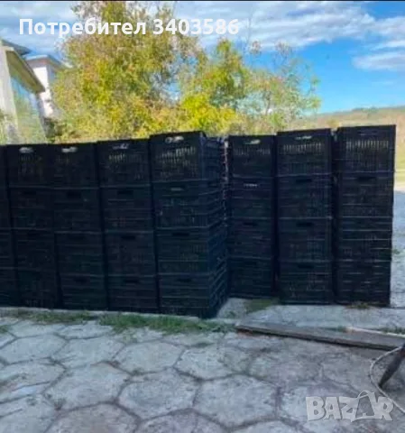 Продавам грозде