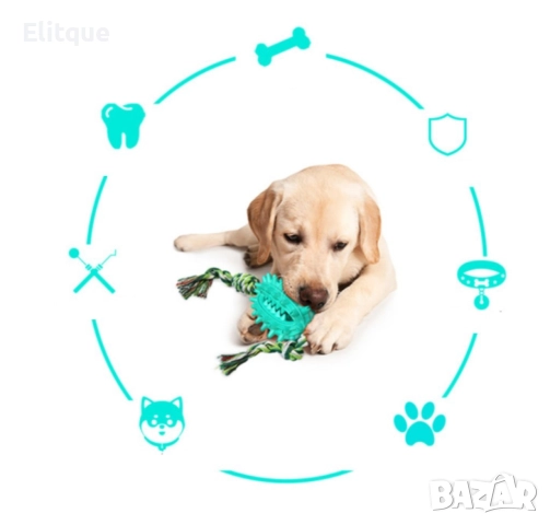 Играчка кактус – четка за зъби за домашни любимци, снимка 7 - За кучета - 52865965