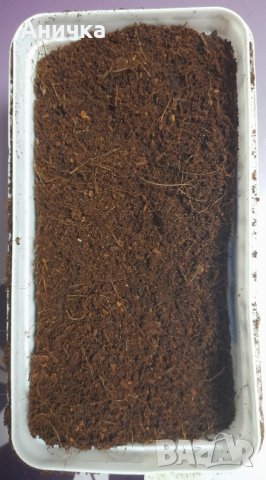 Кокосова почва / подложка, субстракт / и калций за охлюви 