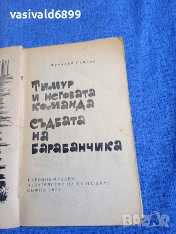 Аркадий Гайдар - Тимур и неговата команда , снимка 4 - Детски книжки - 52795435