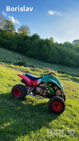 Атв DINLI QUADZILLA 450 Кубика Castrol Edition, снимка 3 - Мотоциклети и мототехника - 52916721
