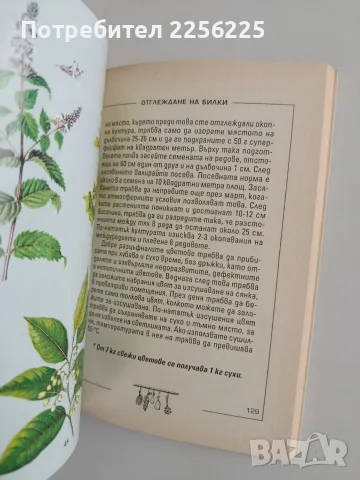 Отглеждане на билки, снимка 2 - Специализирана литература - 56307499