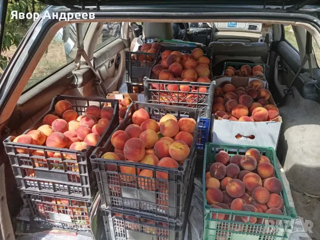 Продавам български праскови