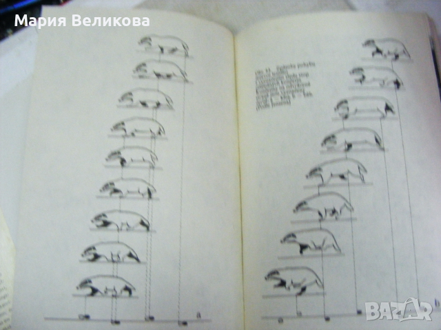 Книга на чешки език , снимка 6 - Чуждоезиково обучение, речници - 44728270