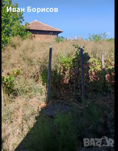 Продава се къща в с. Градец, обл. Видин, снимка 16 - Къщи - 56409978