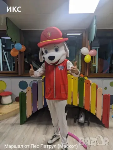 Професионални аниматори, парти машини, оборудване, озвучаване, костюми, украса, фирмено парти , снимка 6 - Друго - 49095831