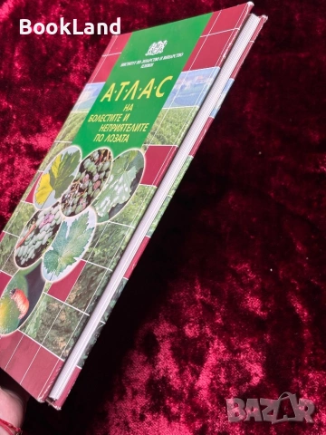 Атлас на болестите и неприятелите по лозата, снимка 3 - Други - 53863258