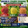 Продавам Ран Болгар, снимка 2