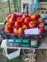 Продавам вкусни домати, снимка 7