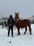 Продавам БТК ….., снимка 1