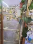 продавам ръчно хранен папагал монах, снимка 3