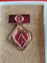 МЕДАЛ И ИНДИВИДУАЛЕН ПОЧЕТЕН ЗНАК - ГДР, снимка 2